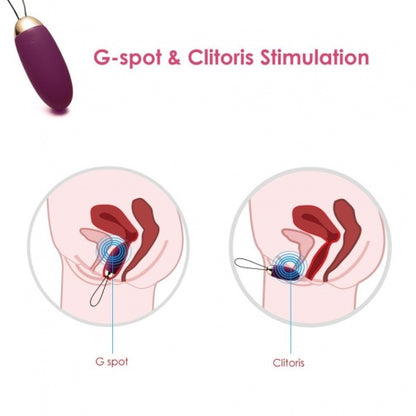 SVAKOM Elva 遙控震蛋 - 紫色